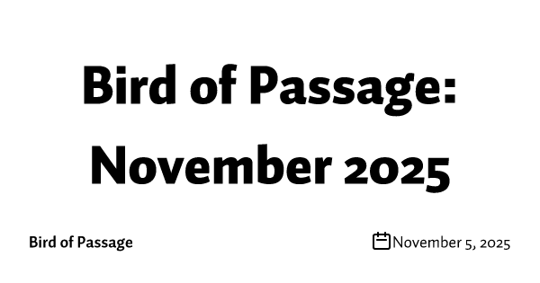 Bird of Passage: November 2025