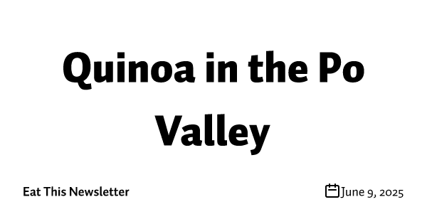 Quinoa in the Po Valley
