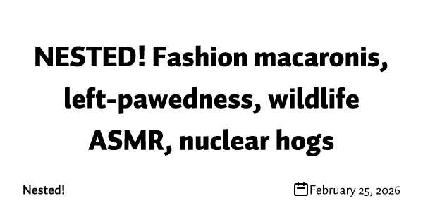 NESTED! Fashion macaronis, left-pawedness, wildlife ASMR, nuclear hogs