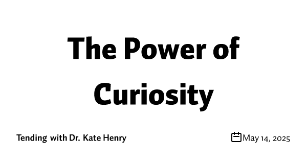 The Power of Curiosity