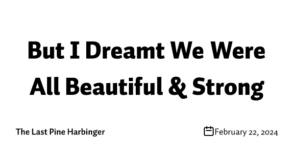But I Dreamt We Were All Beautiful & Strong